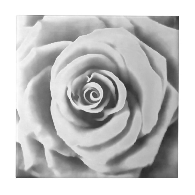 Artistic Big White Rose Tile (Front)