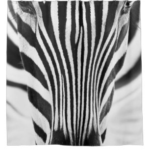 Artistic black and white closeup portrait of a zeb shower curtain