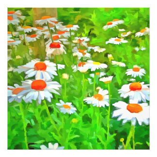 Artistic Bright and Colourful Pop Art Daisies v1 z Photo Print