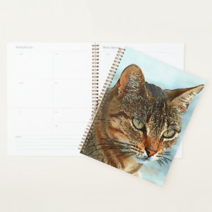 Artistic Cartoon Style Tabby Cat RB Planner