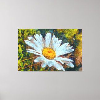 Artistic Close Up of a Marguerite Daisy Flower  Canvas Print