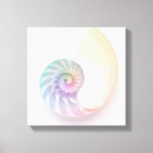 Artistic coloured nautilus image canvas print