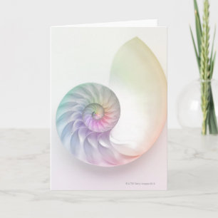 Artistic coloured nautilus image card