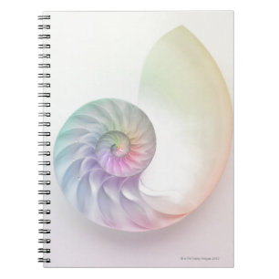 Artistic coloured nautilus image spiral notebook