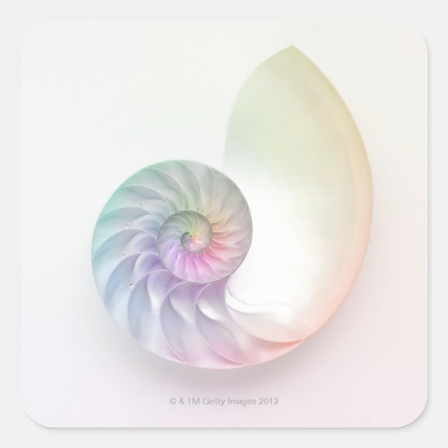 Artistic coloured nautilus image square sticker (Front)