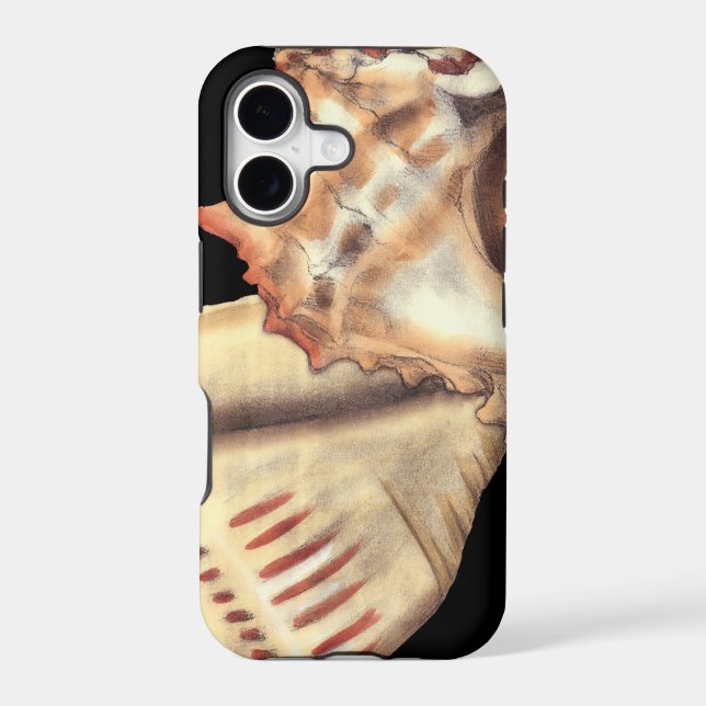 Artistic Conch Shells (Back)