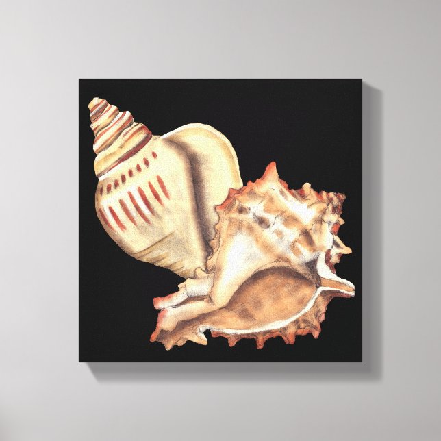 Artistic Conch Shells Canvas Print (Front)