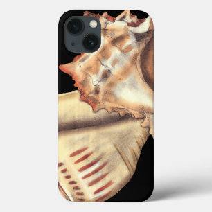 Artistic Conch Shells iPhone 13 Case