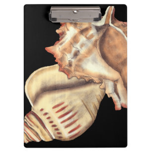Artistic Conch Shells Clipboard
