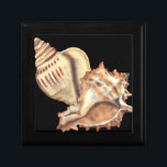 Artistic Conch Shells Gift Box<br><div class="desc">Jennifer Goldberger has an amazing collection of art capturing the gems of the ocean. In this beautiful,  classic neutral colour painting,  these two Conch seashells are the main object of the image. Get this nautical styled art on your favourite products today!</div>