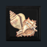 Artistic Conch Shells Gift Box<br><div class="desc">Jennifer Goldberger has an amazing collection of art capturing the gems of the ocean. In this beautiful,  classic neutral colour painting,  these two Conch seashells are the main object of the image. Get this nautical styled art on your favourite products today!</div>