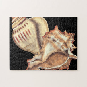 Artistic Conch Shells Jigsaw Puzzle