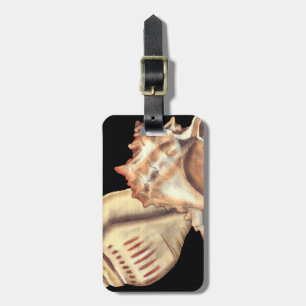 Artistic Conch Shells Luggage Tag