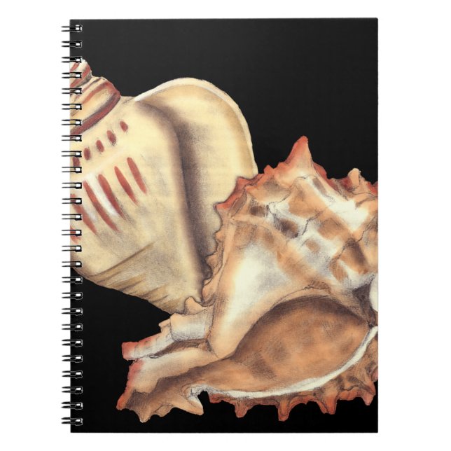Artistic Conch Shells Spiral Notebook (Front)