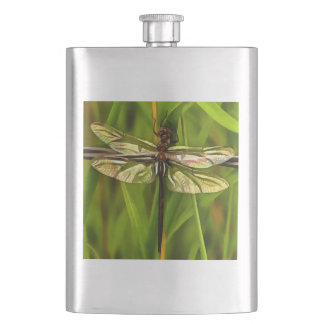 Artistic Dragonfly In Brown And Yellow On Green Hip Flask