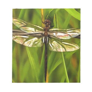 Artistic Dragonfly In Brown And Yellow On Green Notepad