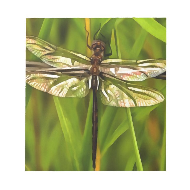 Artistic Dragonfly In Brown And Yellow On Green Notepad (Front)