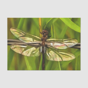 Artistic Dragonfly In Brown And Yellow On Green Tissue Paper