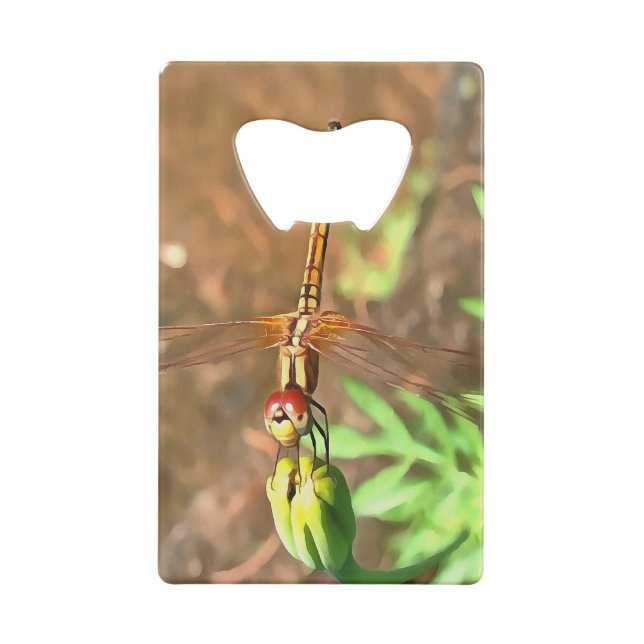 Artistic Dragonfly Resting On A Flower Head (Back)