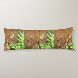 Artistic Dragonfly Resting On A Flower Head Body Cushion