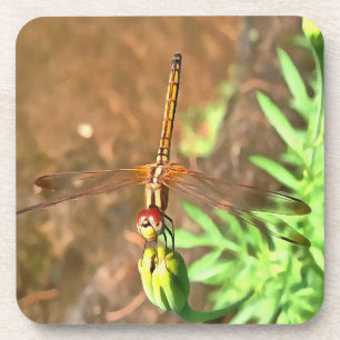 Artistic Dragonfly Resting On A Flower Head Coaster
