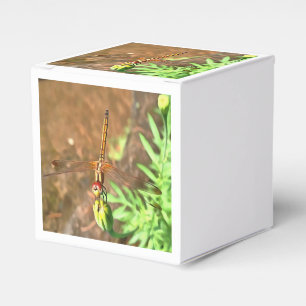 Artistic Dragonfly Resting On A Flower Head Favour Box