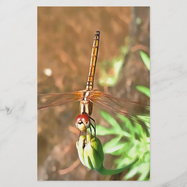 Artistic Dragonfly Resting On A Flower Head Stationery (Front)
