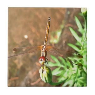 Artistic Dragonfly Resting On A Flower Head Tile