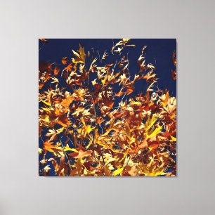 Artistic Fall Leaves Against Deep Blue Sky Canvas Print