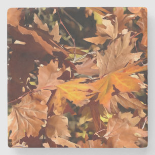 Artistic Fall Leaves In Autumn Sunshine Stone Coaster
