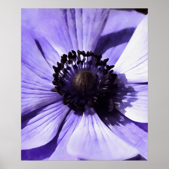 Artistic Lilac Blue Anemone Wildflower Poster (Front)
