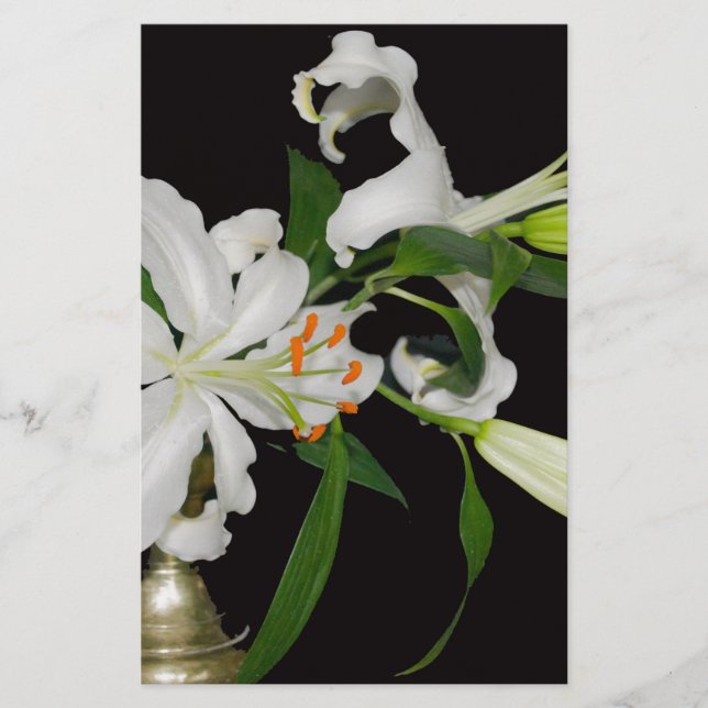 Artistic Lily Collection-1 Stationery (Front)