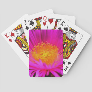 Artistic Magenta Pink Aster Flower Floral Art Playing Cards