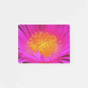 Artistic Magenta Pink Aster Flower Floral Art Post-it Notes