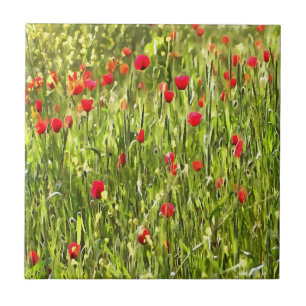 Artistic Meadow Poppy Landscape Tile