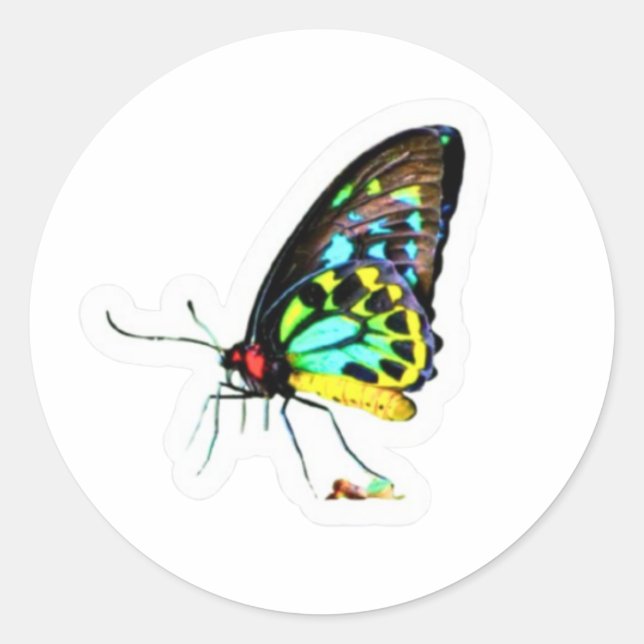 Artistic Neon Profile Butterfly Sticker - Unique S (Front)