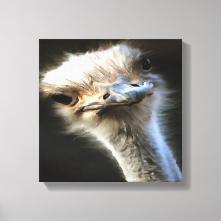 Artistic Ostrich Portrait With Goofy Expression Canvas Print