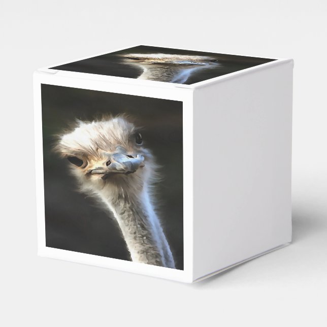 Artistic Ostrich Portrait With Goofy Expression Favour Box (Front Side)