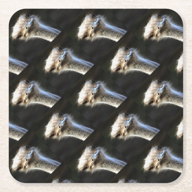 Artistic Ostrich Portrait With Goofy Expression Square Paper Coaster (Front)