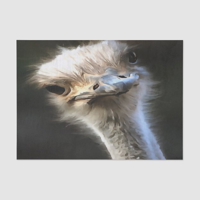 Artistic Ostrich Portrait With Goofy Expression Tissue Paper (Front)