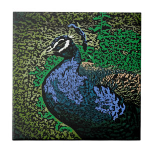 Artistic peacock decorative ceramic tile