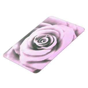 Artistic Pink Rose rb Magnet