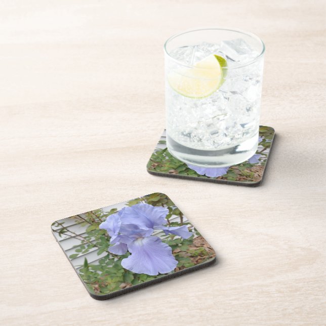 Artistic Purple Iris Coaster Premium Floral Drink (Right Side)