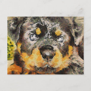 Artistic Rottweiler Puppy Portrait Postcard