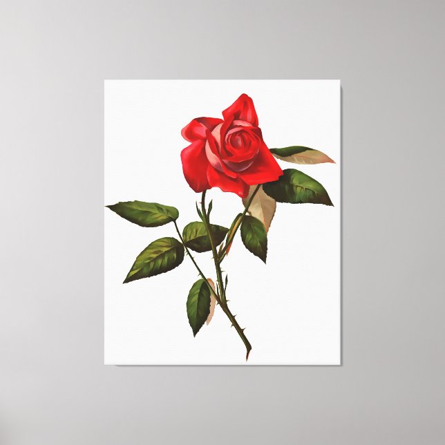 Artistic Single Stem Red Rose Canvas Print (Front)