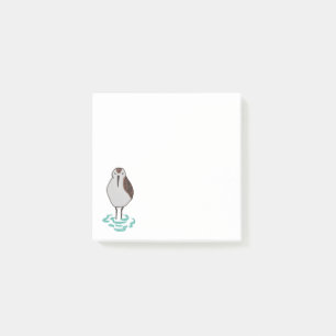 Artistic Sleeping Sandpiper Post-it Notes