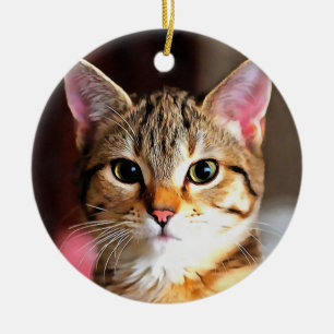 Artistic Tabby Cat Kitten Portrait Ceramic Tree Decoration