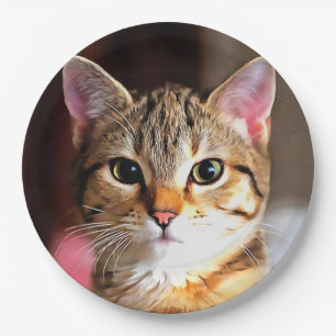 Artistic Tabby Cat Kitten Portrait Paper Plate