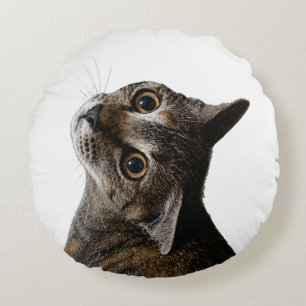 Artistic Tabby Cat Portrait Photo Round Cushion