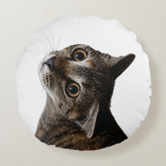 Artistic Tabby Cat Portrait Photo Round Cushion